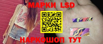 стаф Ставрополь