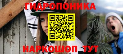 стаф Ставрополь
