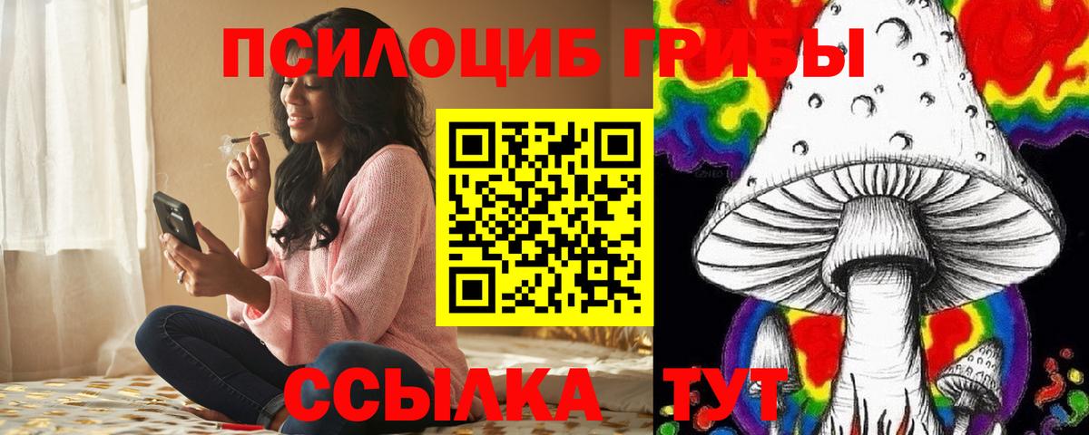 Псилоцибиновые грибы прущие грибы  где найти наркотики  Нефтекамск  Псилоцибиновые грибы Psilocybine cubensis  Вход с VPN 
